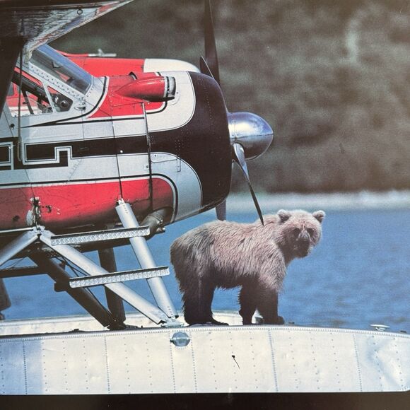 Alaska Poster Board Photo Print 28x19 Sea Plane With Bear - Picture 2 of 4